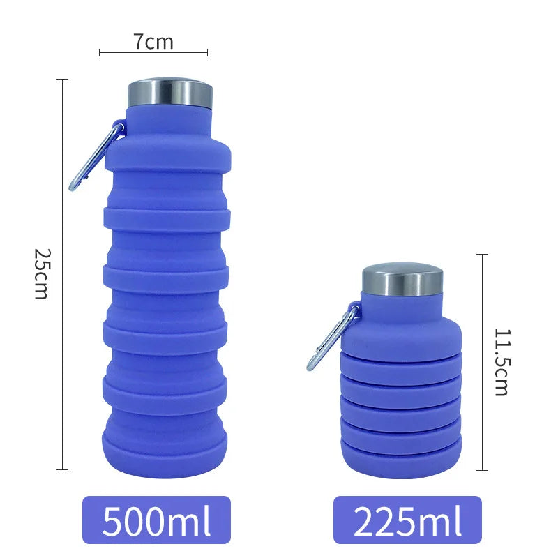 Collapsible Water Bottle